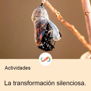transformacion silenciosa