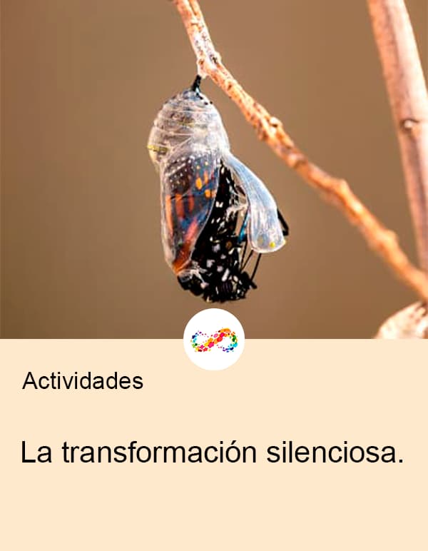 transformacion silenciosa